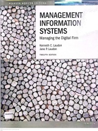 Image of Management Information Systems : Managing the Digital Firm